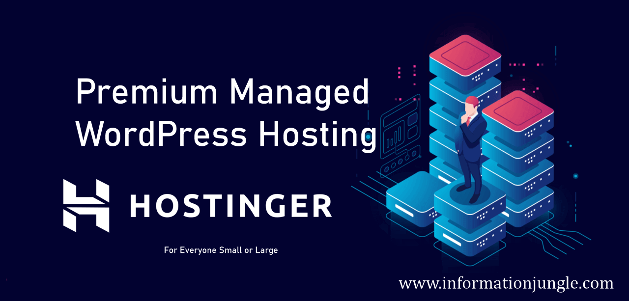 hostinger-review-information-jungle