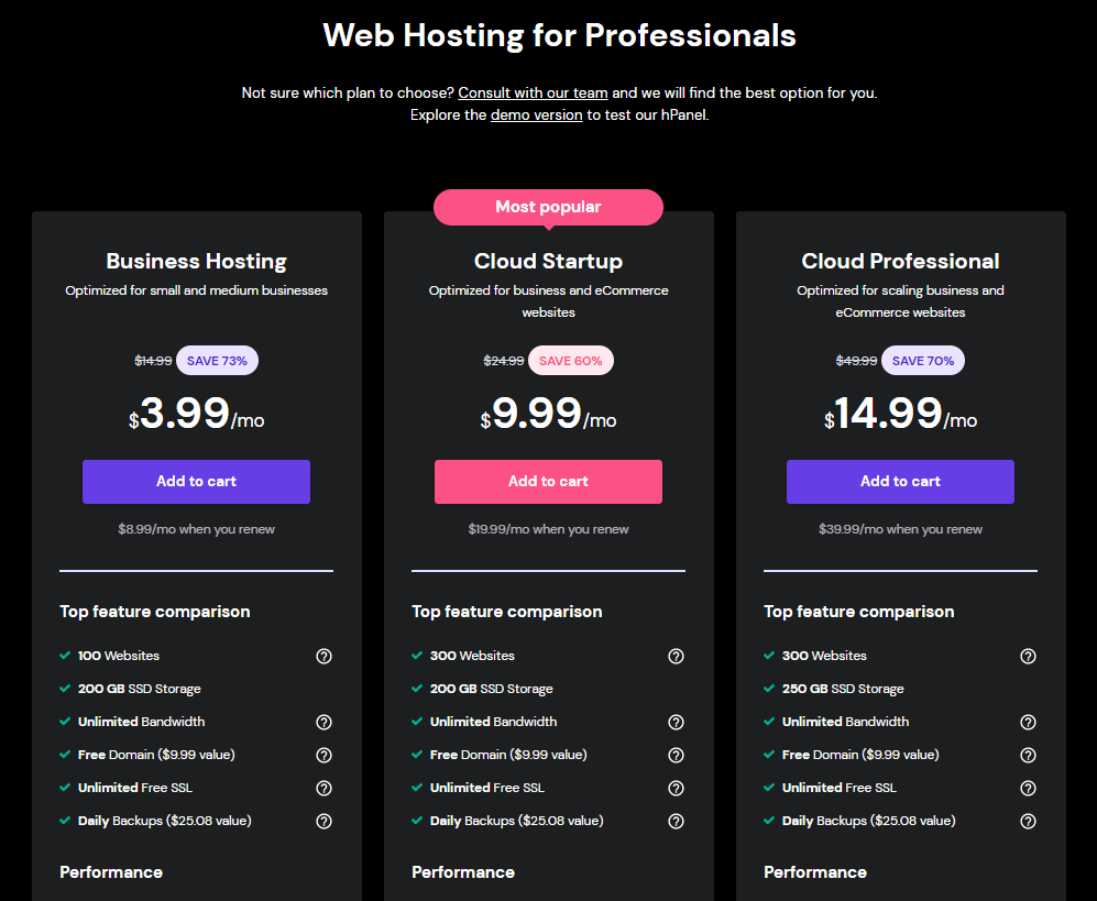 Webhosting for professional